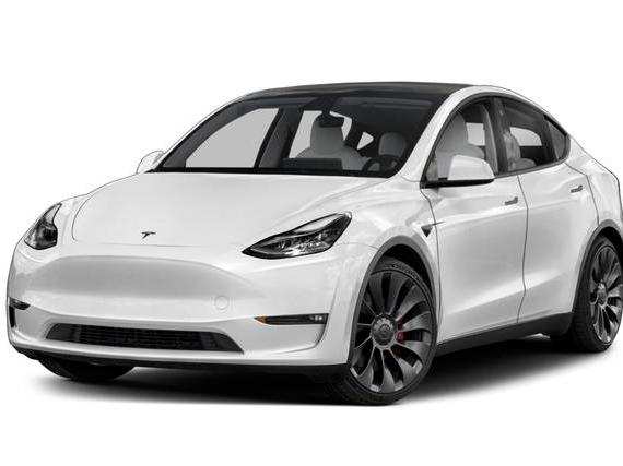 TESLA MODEL Y 2023 7SAYGDEE4PF608029 image